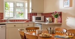 Fern kitchen 2