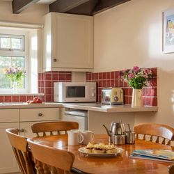Fern kitchen 2