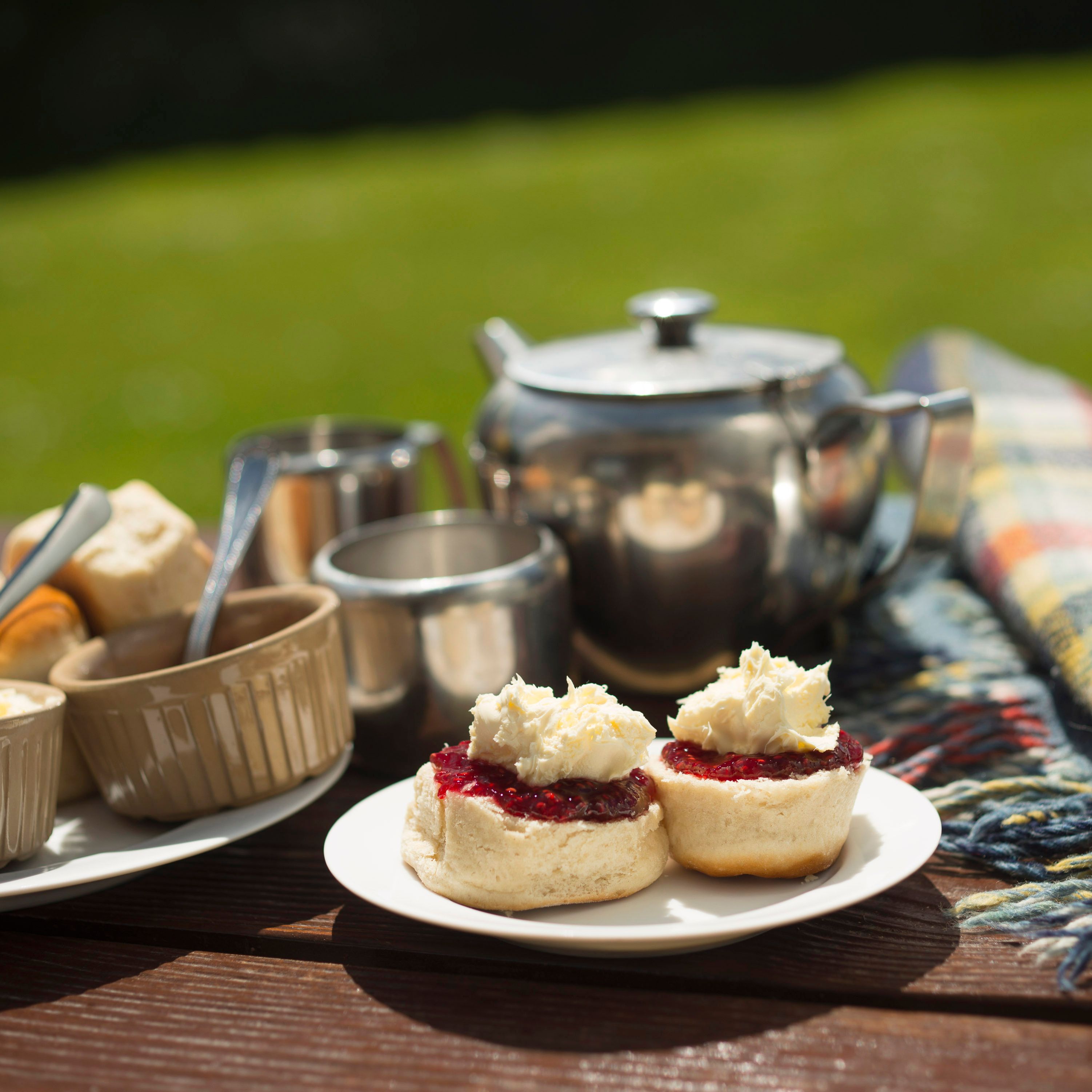 A picnic scene featuring scones with jam and clotted cream on a white plate, a teapot and cream jug, and a checkered blanket on a wooden outdoor table.