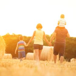 Family of four walking through a sunny field with hay bales, holding hands, as seen from behind.