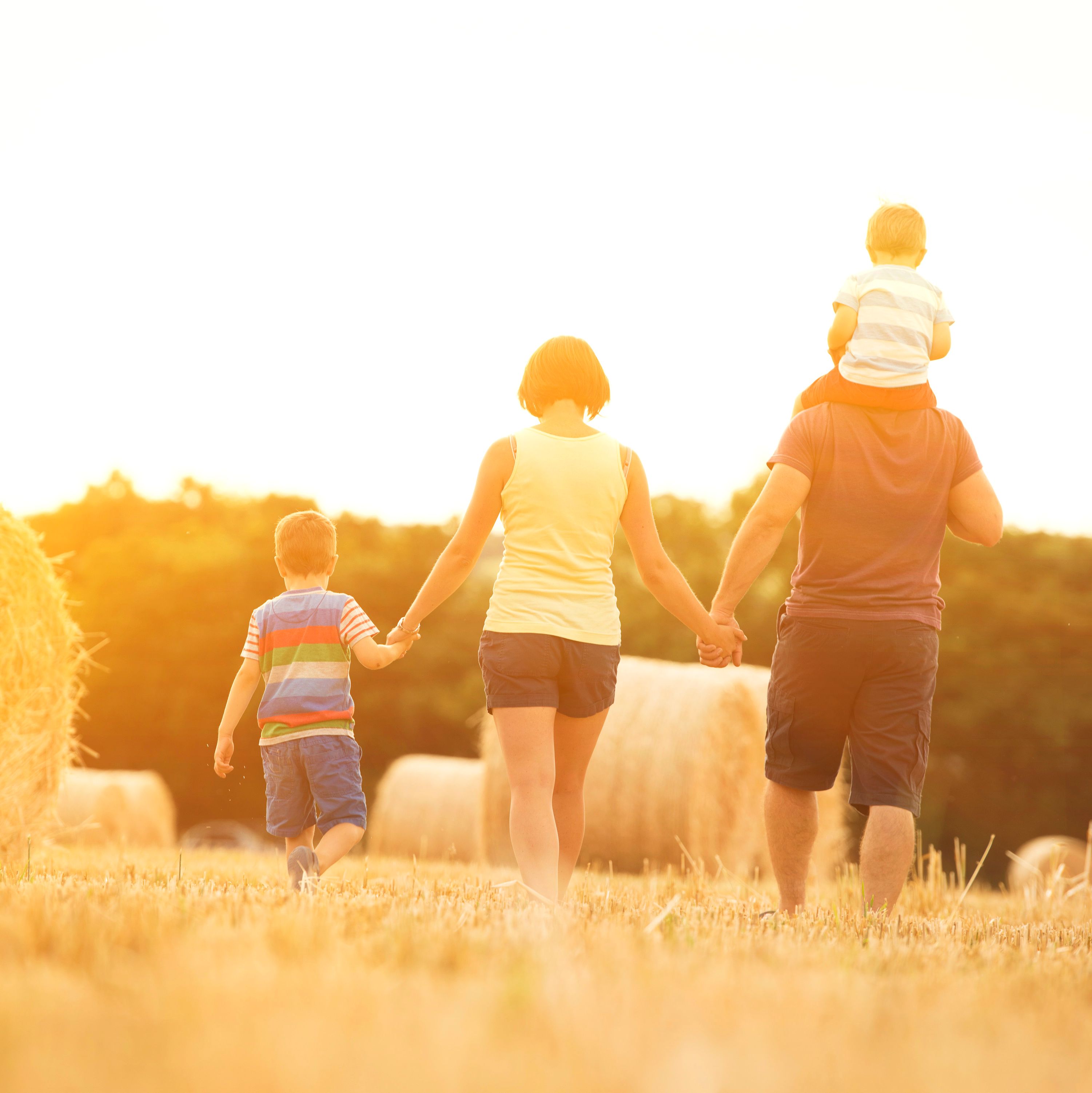 Family of four walking through a sunny field with hay bales, holding hands, as seen from behind.