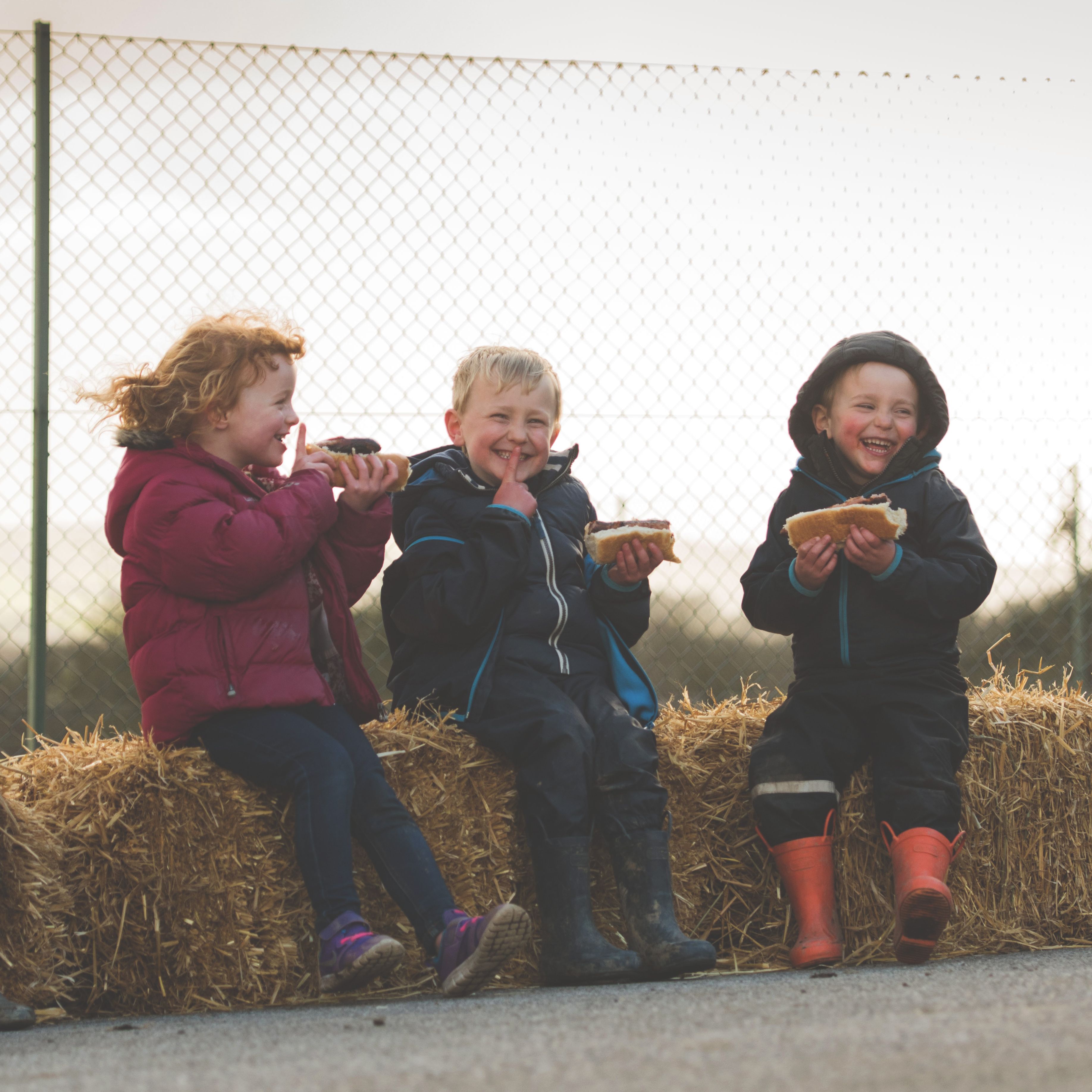 Three young children sitting on hay bales eating sandwiches with a chicken in the foreground.
