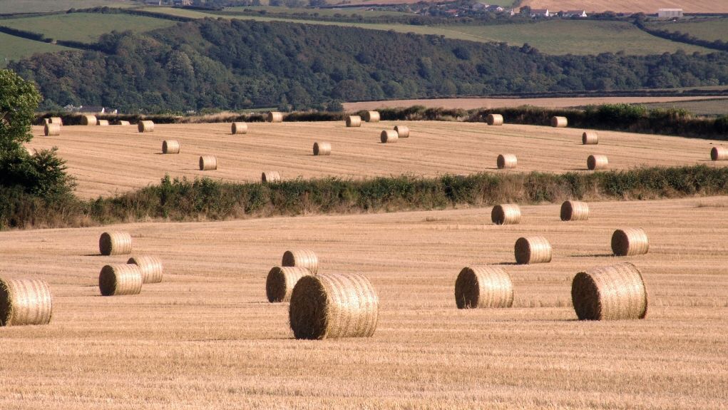 Bales of hay spread across a harvested field in the countryside with rolling hills in the background