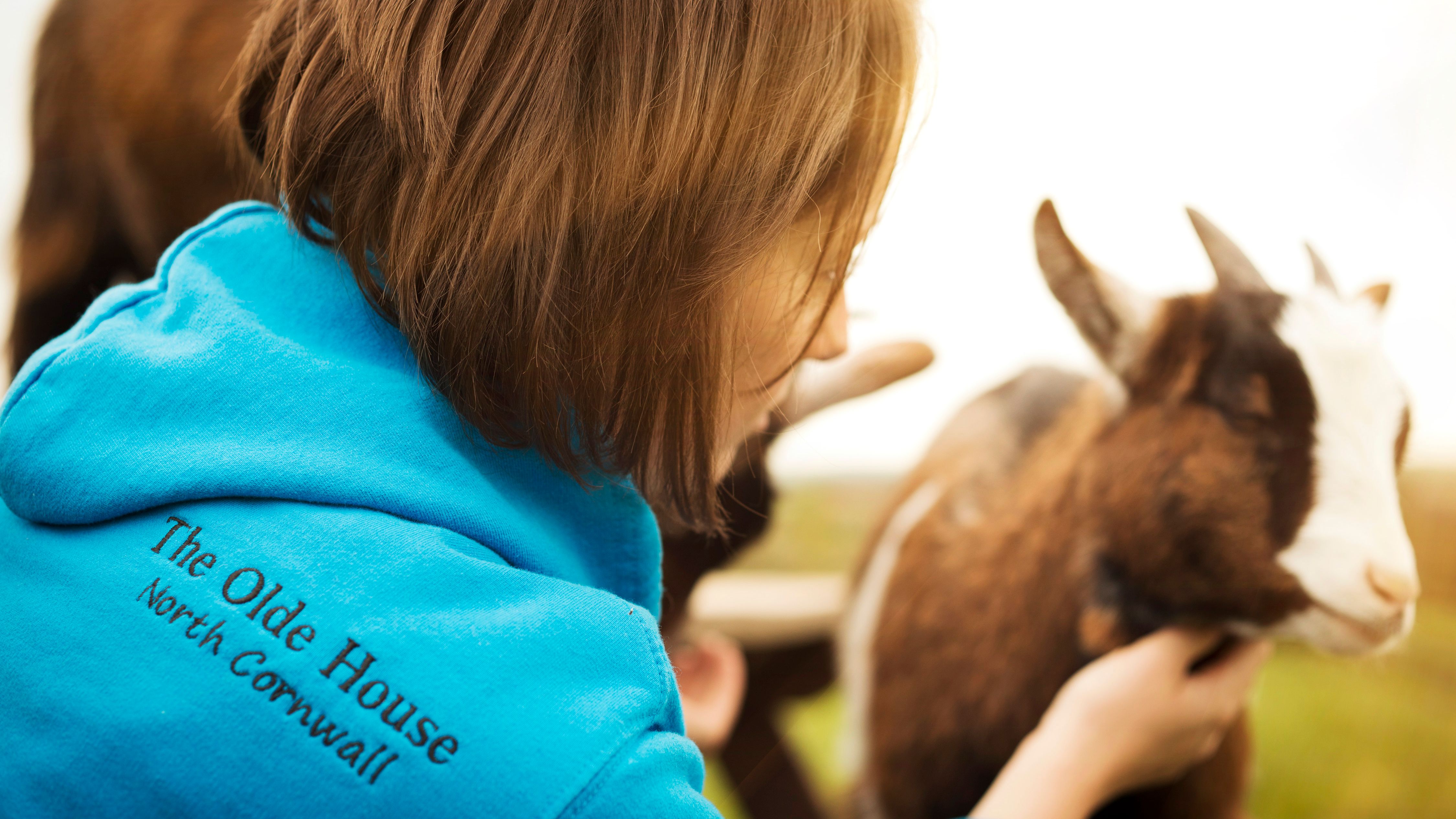 Person in a blue hoodie with 'The Olde House North Cornwall' text, petting a goat outdoors.