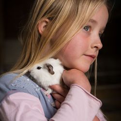 A young girl with blonde hair holding a white guinea pig close to her neck, with the guinea pig partly hidden under her hair.