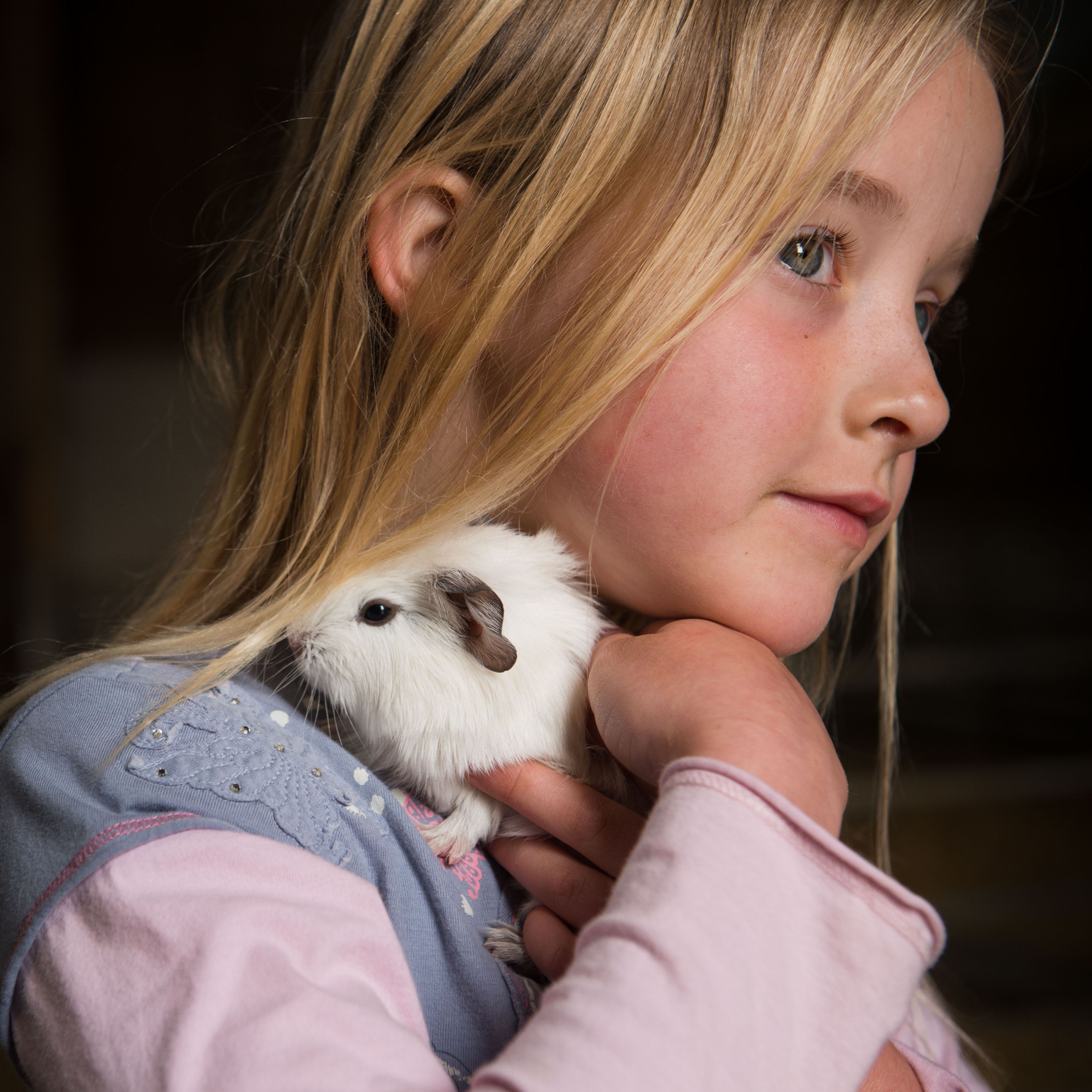 A young girl with blonde hair holding a white guinea pig close to her neck, with the guinea pig partly hidden under her hair.