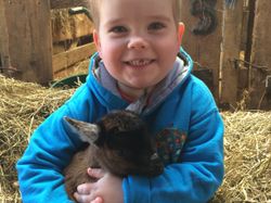 Smiling child in a blue jacket holding a baby goat while sitting on hay inside a barn.