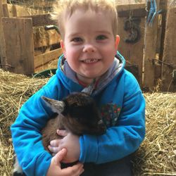 Smiling child in a blue jacket holding a baby goat while sitting on hay inside a barn.