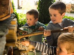Three young boys playing and building with sticks and natural materials outdoors, appearing curious and engaged.