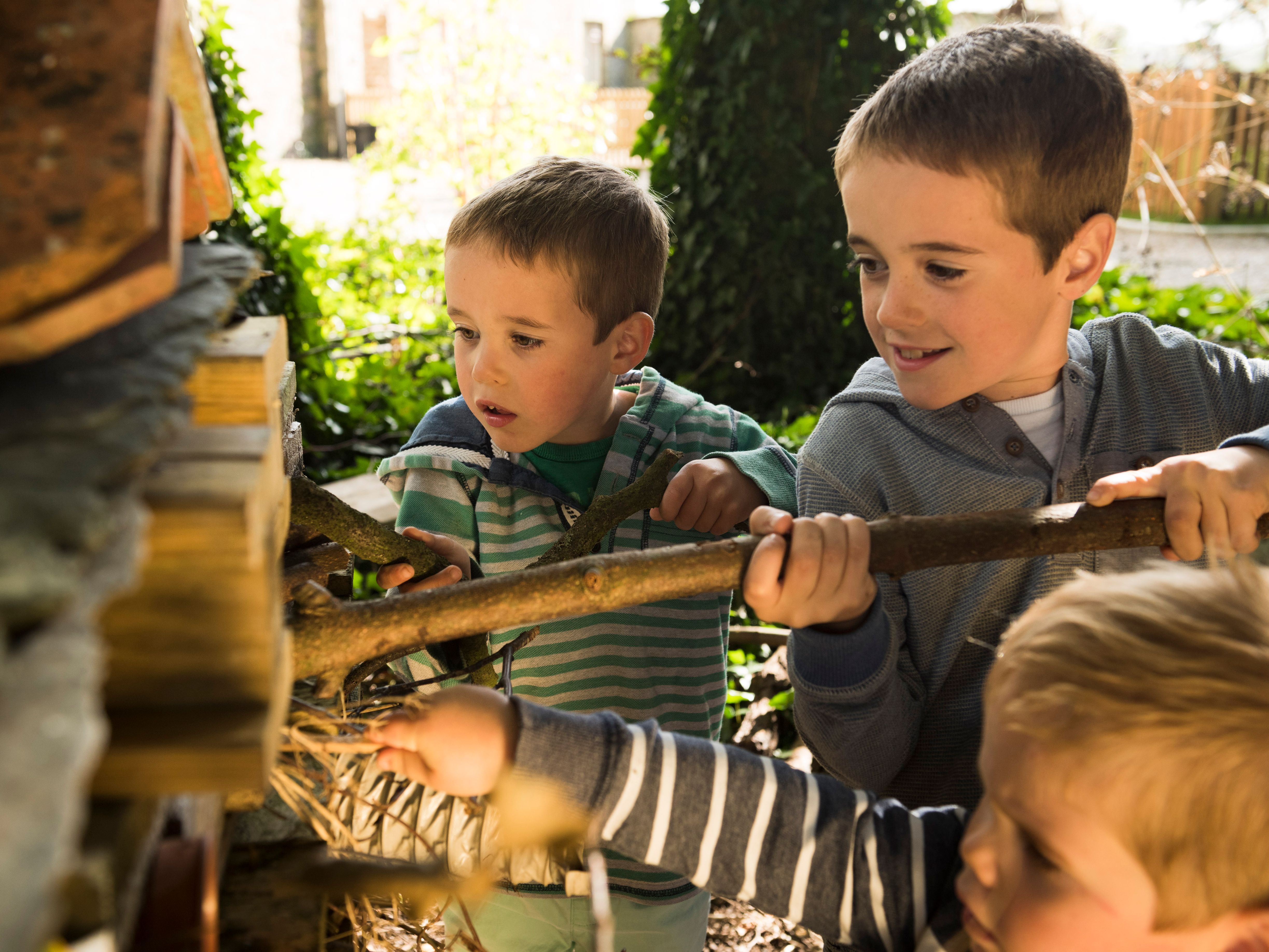Three young boys playing and building with sticks and natural materials outdoors, appearing curious and engaged.