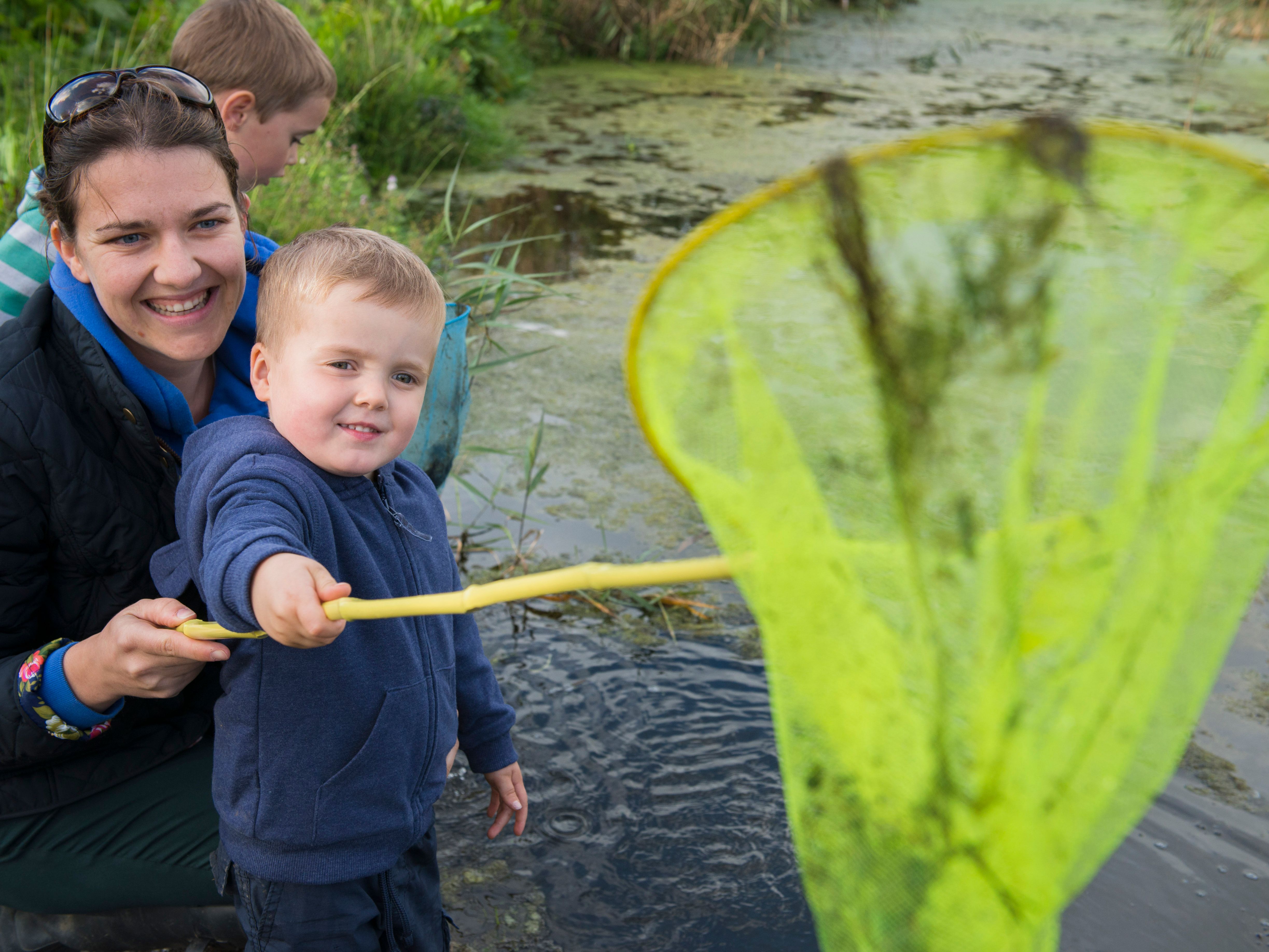 Woman and two young boys pond dipping with nets by the edge of a pond, smiling and enjoying nature.