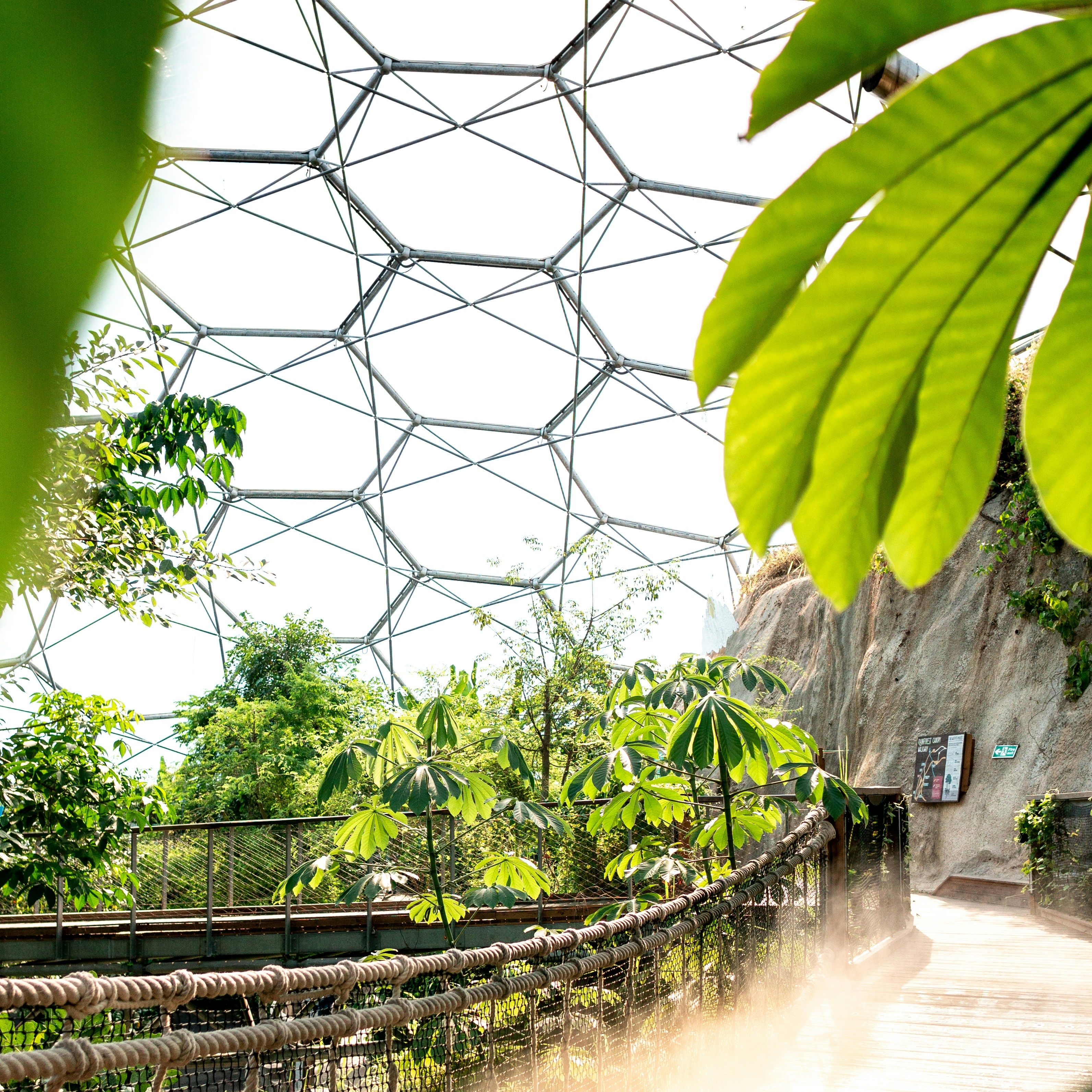 A wooden walkway with rope railing inside a greenhouse or biodome filled with lush green tropical plants and sunlight streaming through the geometric glass ceiling.