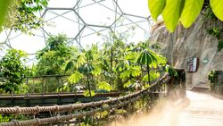 A wooden walkway with rope railing inside a greenhouse or biodome filled with lush green tropical plants and sunlight streaming through the geometric glass ceiling.