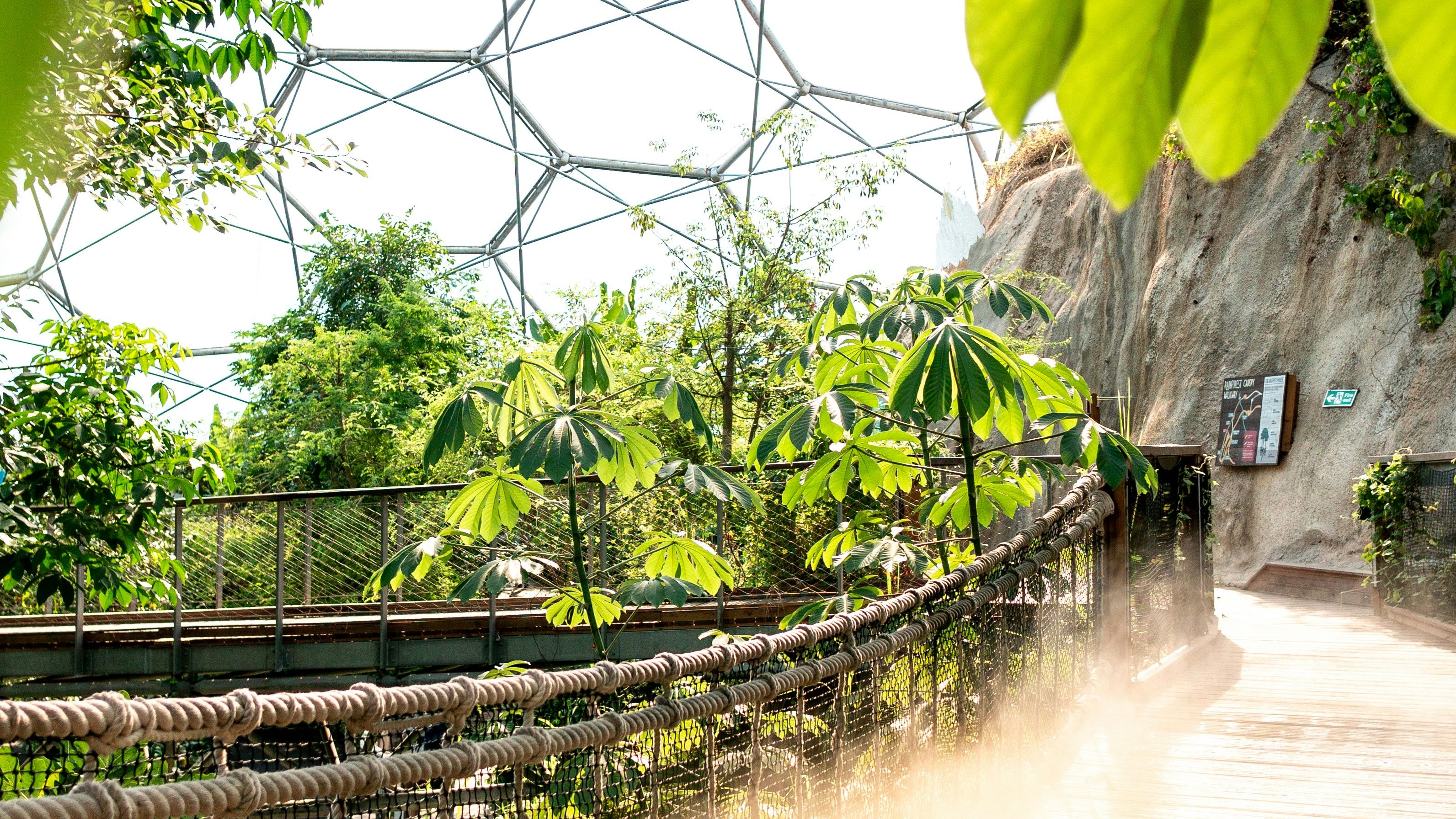 A wooden walkway with rope railing inside a greenhouse or biodome filled with lush green tropical plants and sunlight streaming through the geometric glass ceiling.