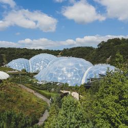 View of large geodesic biodomes surrounded by lush green vegetation under a blue sky with scattered clouds.