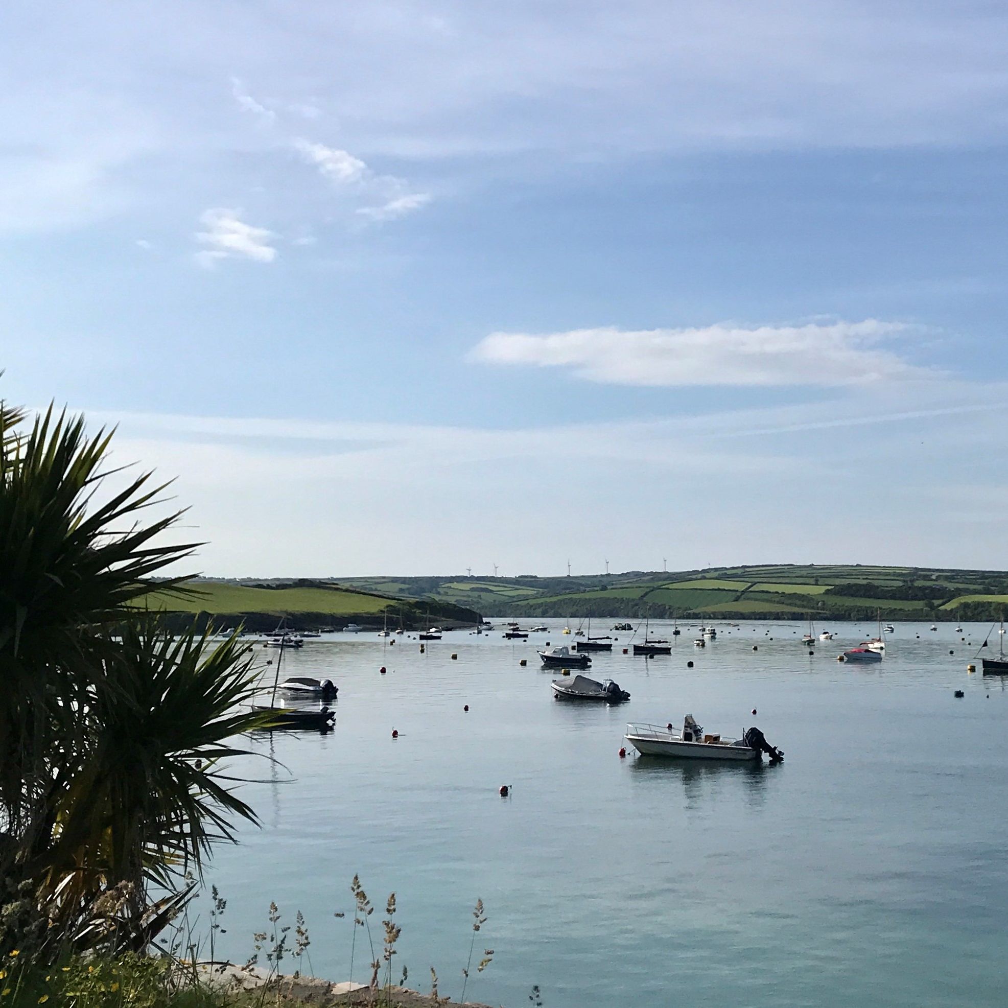 Scenic view of a calm bay with several small boats anchored on the water, palm leaves in the foreground, and rolling green hills under a blue sky in the background.