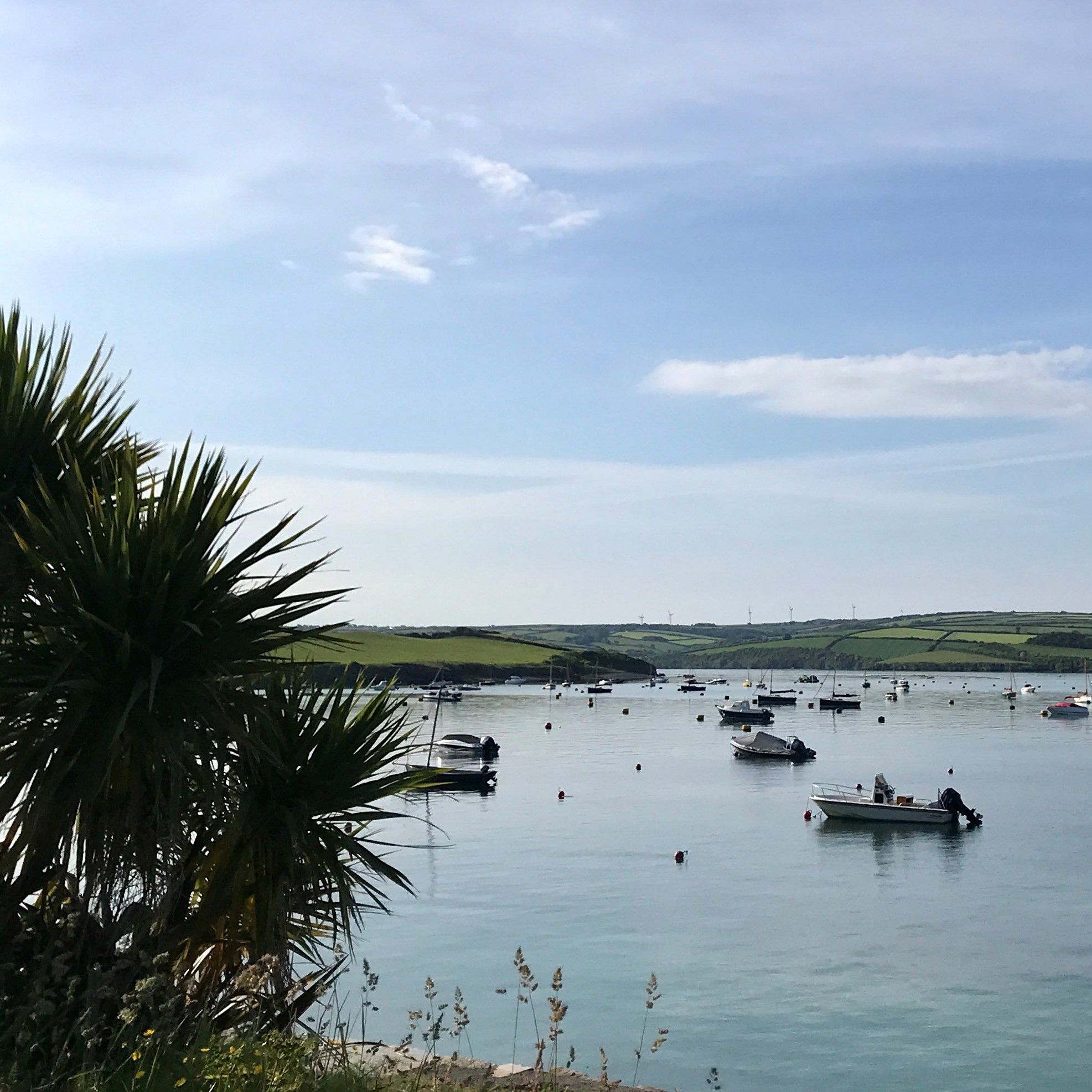 Scenic view of a calm bay with several small boats anchored on the water, palm leaves in the foreground, and rolling green hills under a blue sky in the background.