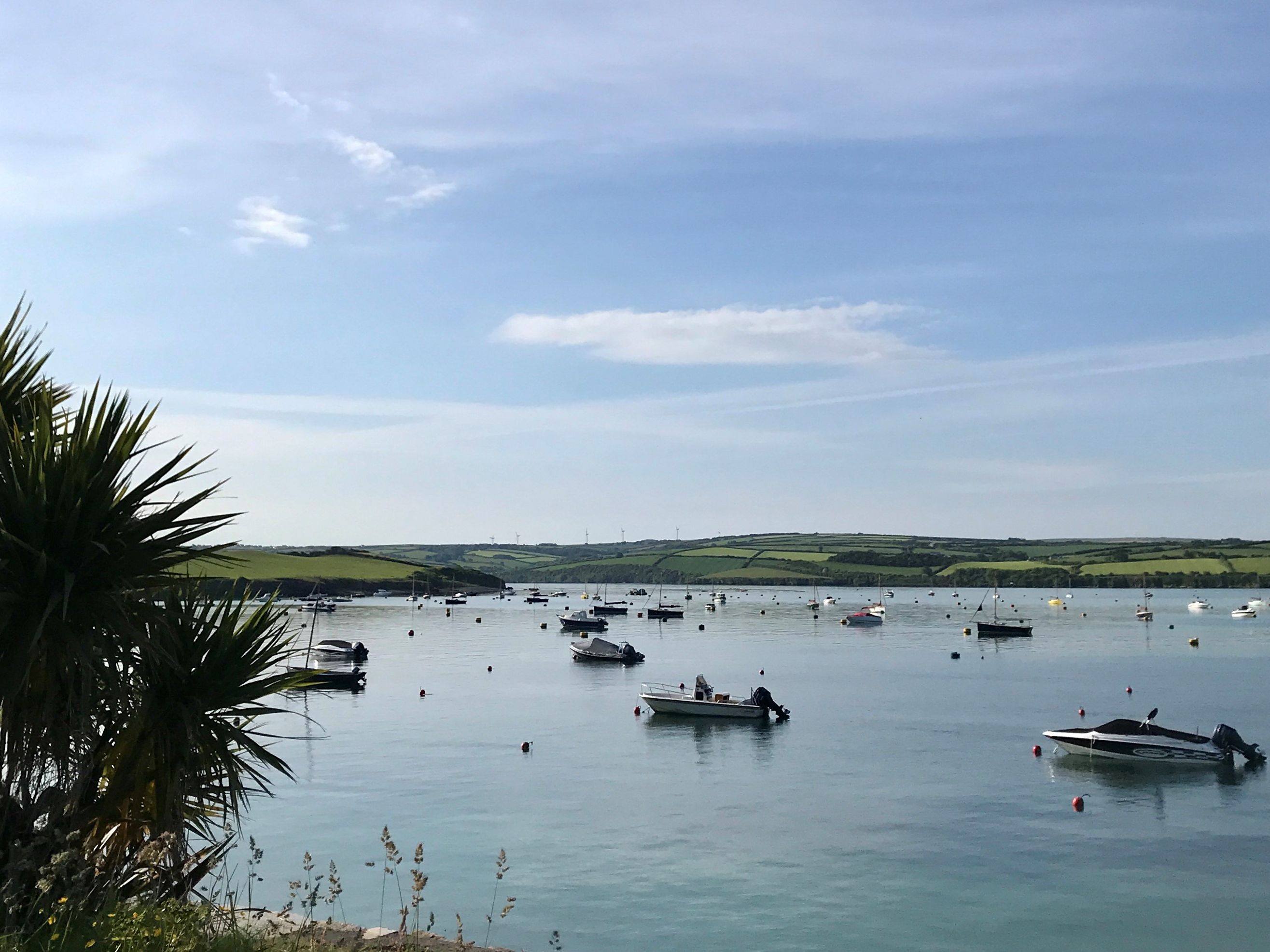 Scenic view of a calm bay with several small boats anchored on the water, palm leaves in the foreground, and rolling green hills under a blue sky in the background.