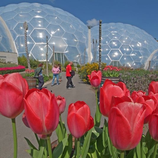 Red tulips in the foreground with people walking on a path and large transparent geodesic domes in the background under a blue sky.
