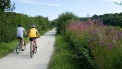 Two people riding bicycles on a gravel path surrounded by greenery and wildflowers under a blue sky.