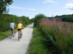 Two people riding bicycles on a gravel path surrounded by greenery and wildflowers under a blue sky.