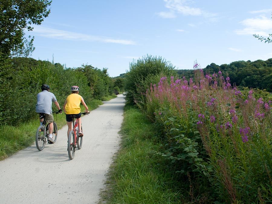 Two people riding bicycles on a gravel path surrounded by greenery and wildflowers under a blue sky.