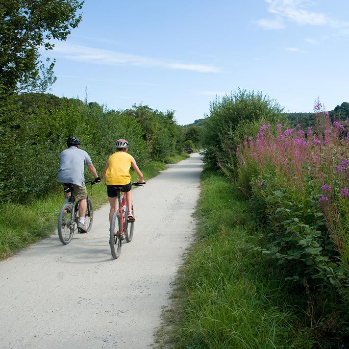 Two people riding bicycles on a gravel path surrounded by greenery and wildflowers under a blue sky.