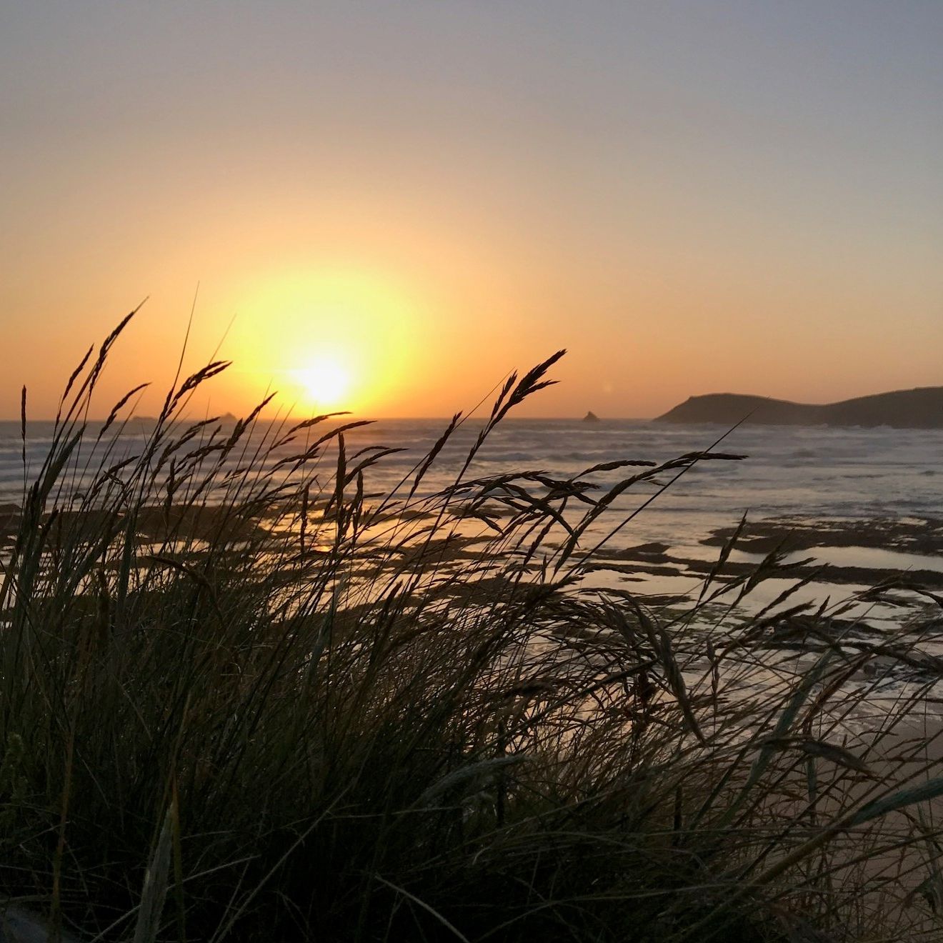 Beach grass silhouetted against a colorful sunset over the ocean with waves and distant hills.