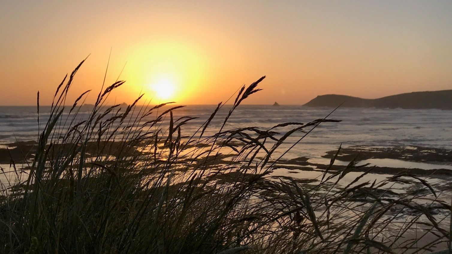 Beach grass silhouetted against a colorful sunset over the ocean with waves and distant hills.