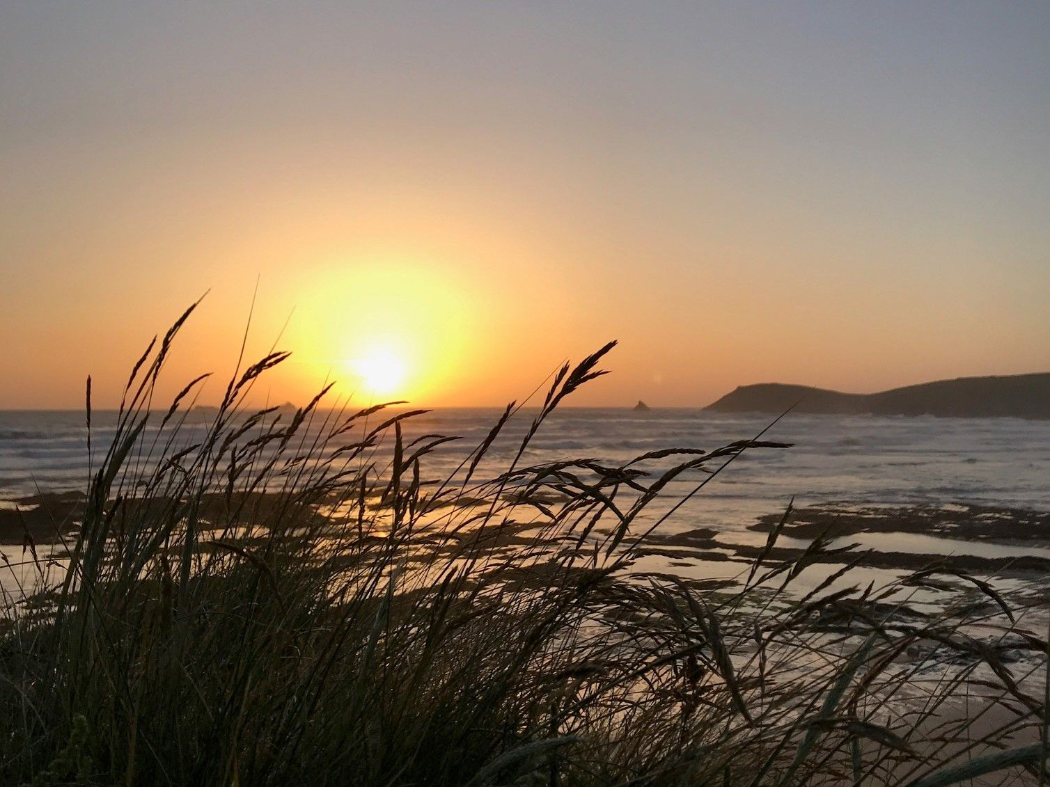 Beach grass silhouetted against a colorful sunset over the ocean with waves and distant hills.