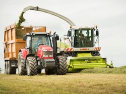 A red tractor next to a forage harvester transferring chopped grass into a trailer in a field.