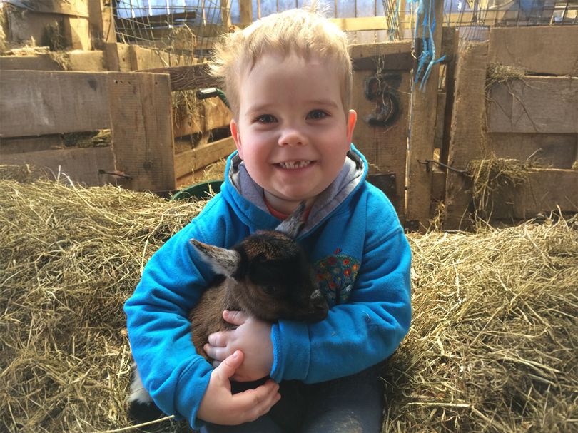 Smiling child in a blue jacket holding a baby goat while sitting on hay in a barn.