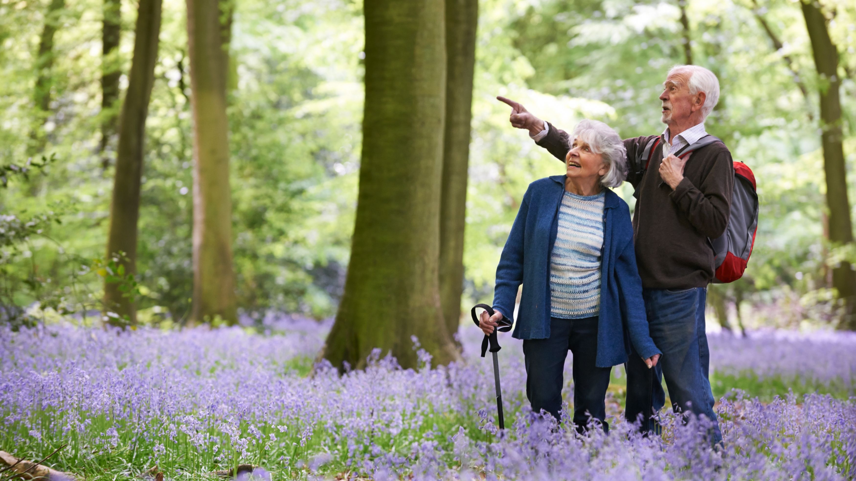 Elderly couple walking through a woodland area with purple flowers