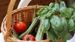 Basket of fresh vegetables including tomatoes, zucchini, and basil on a white chair.