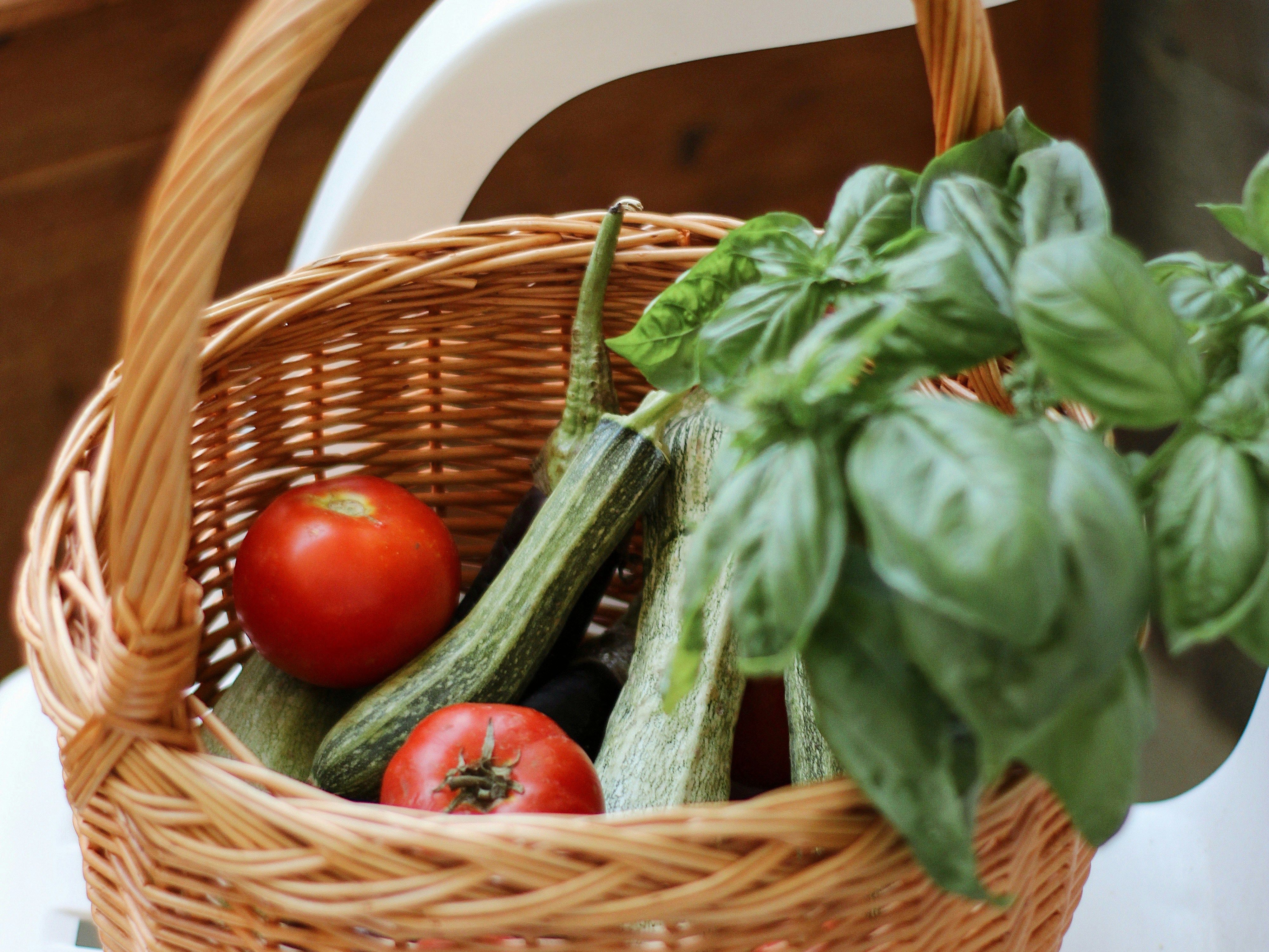 Basket of fresh vegetables including tomatoes, zucchini, and basil on a white chair.