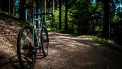 Bicycle parked on a dirt path in a sunlit forest