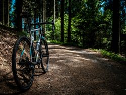 Bicycle parked on a dirt path in a sunlit forest