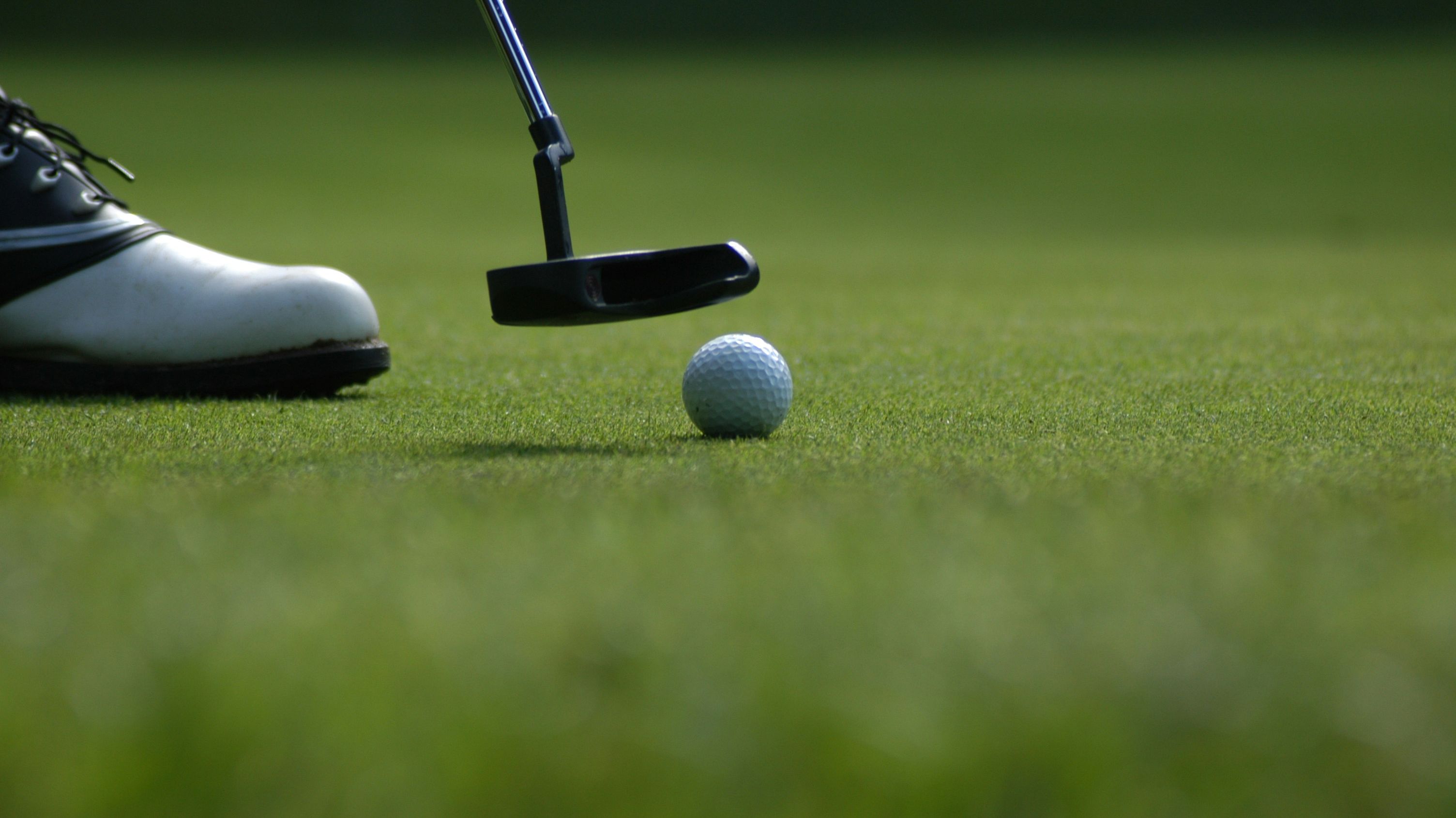 Close-up of a golf club and golf ball on a putting green