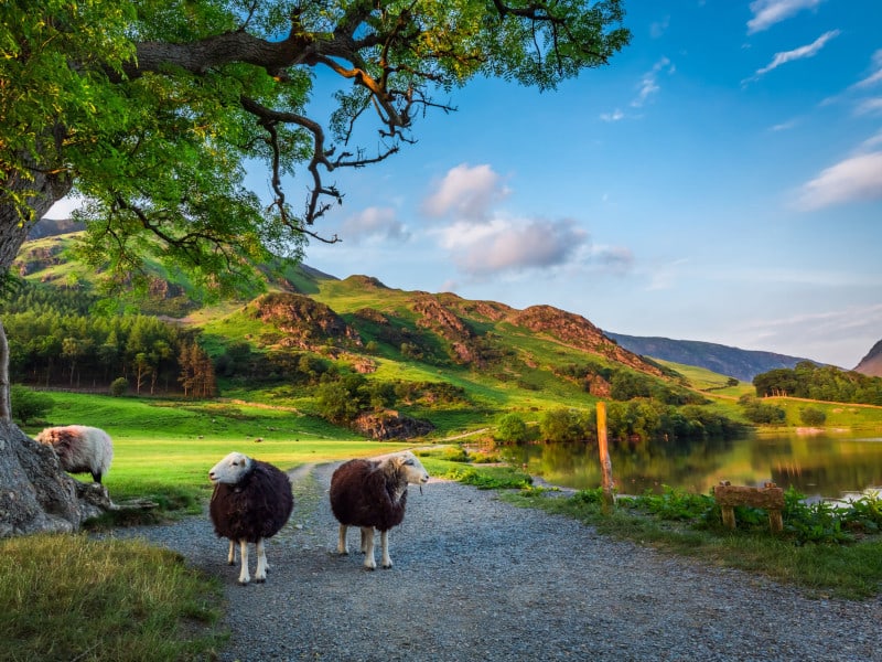 GettyImages-614739588 (1)