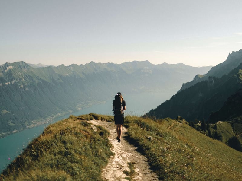 joel-jasmin-forestbird-znoL1m6MD_k-unsplash (1)