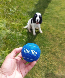 The Ro