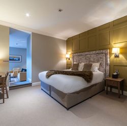 The Suite