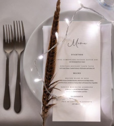 The food