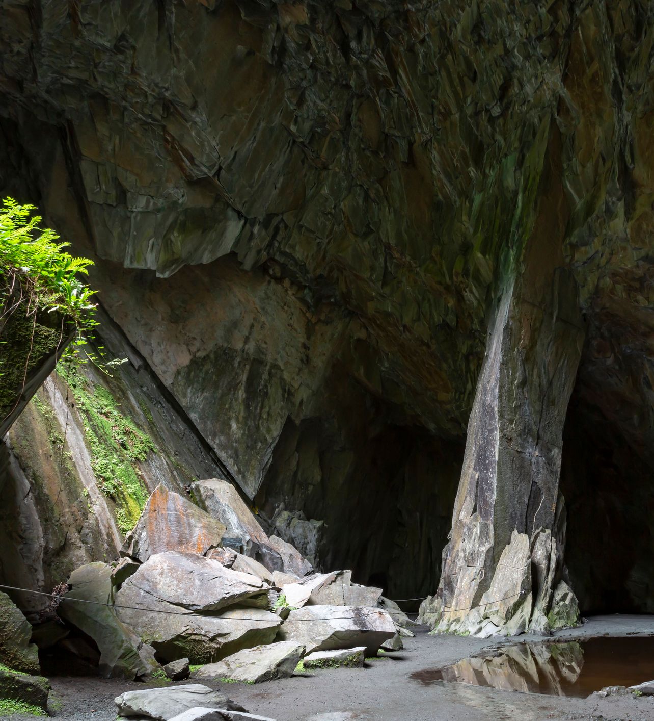 A cavernous rocky cave with jagged stone walls and a reflective pool of water at the bottom. Ferns and moss grow on the rocks near the cave entrance, adding greenery.