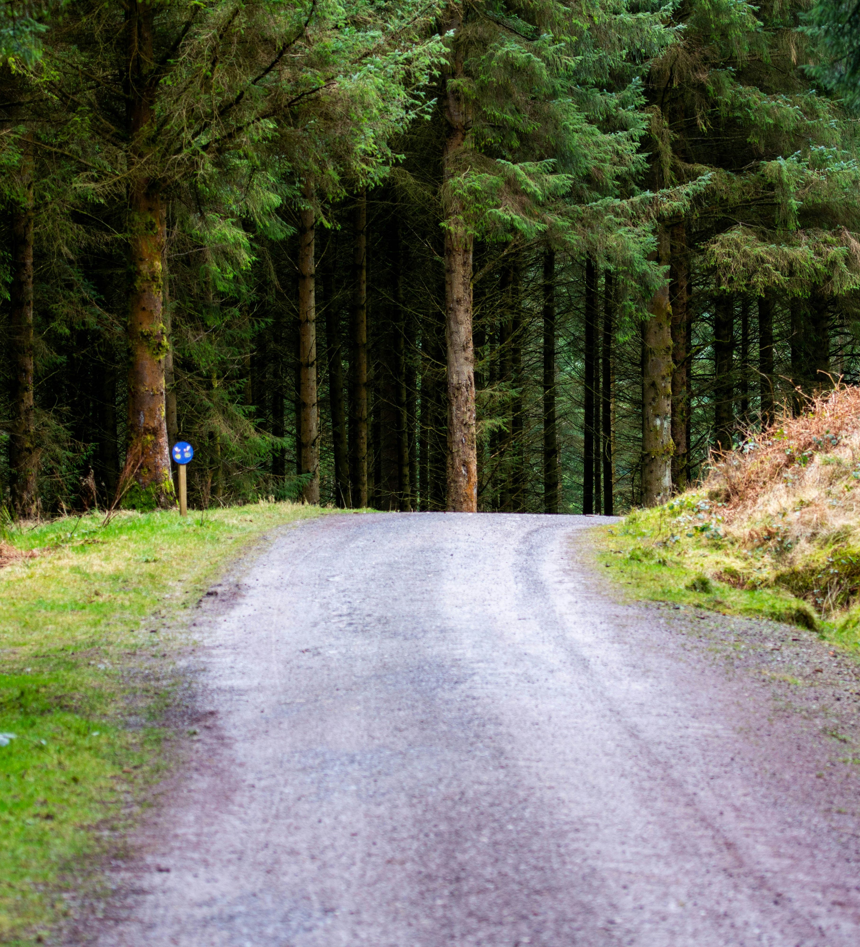 richard-bell-ugOE30qv7NA-unsplash