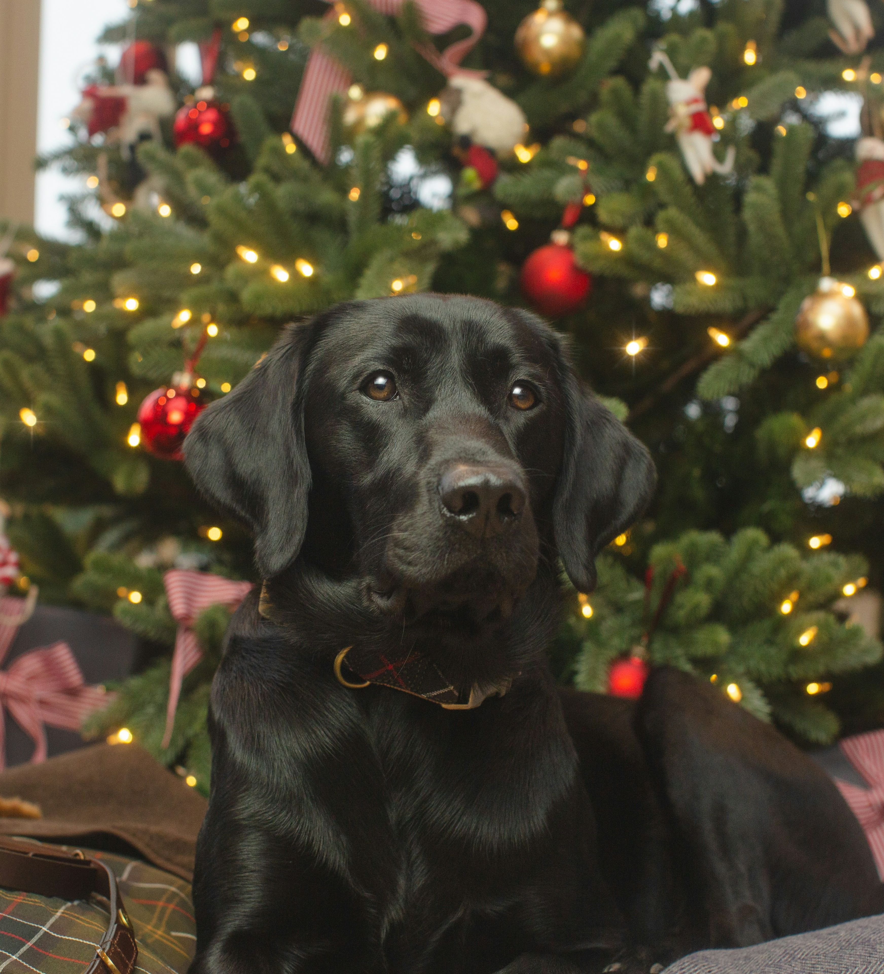 dom-heartley-23U7kgeY5yg-unsplash