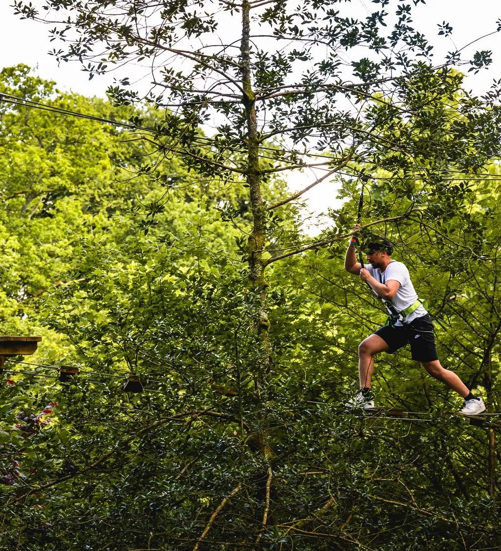 Person wearing a harness crossing a high ropes course in a forest, balancing on a narrow wooden beam between trees with lush green foliage.
