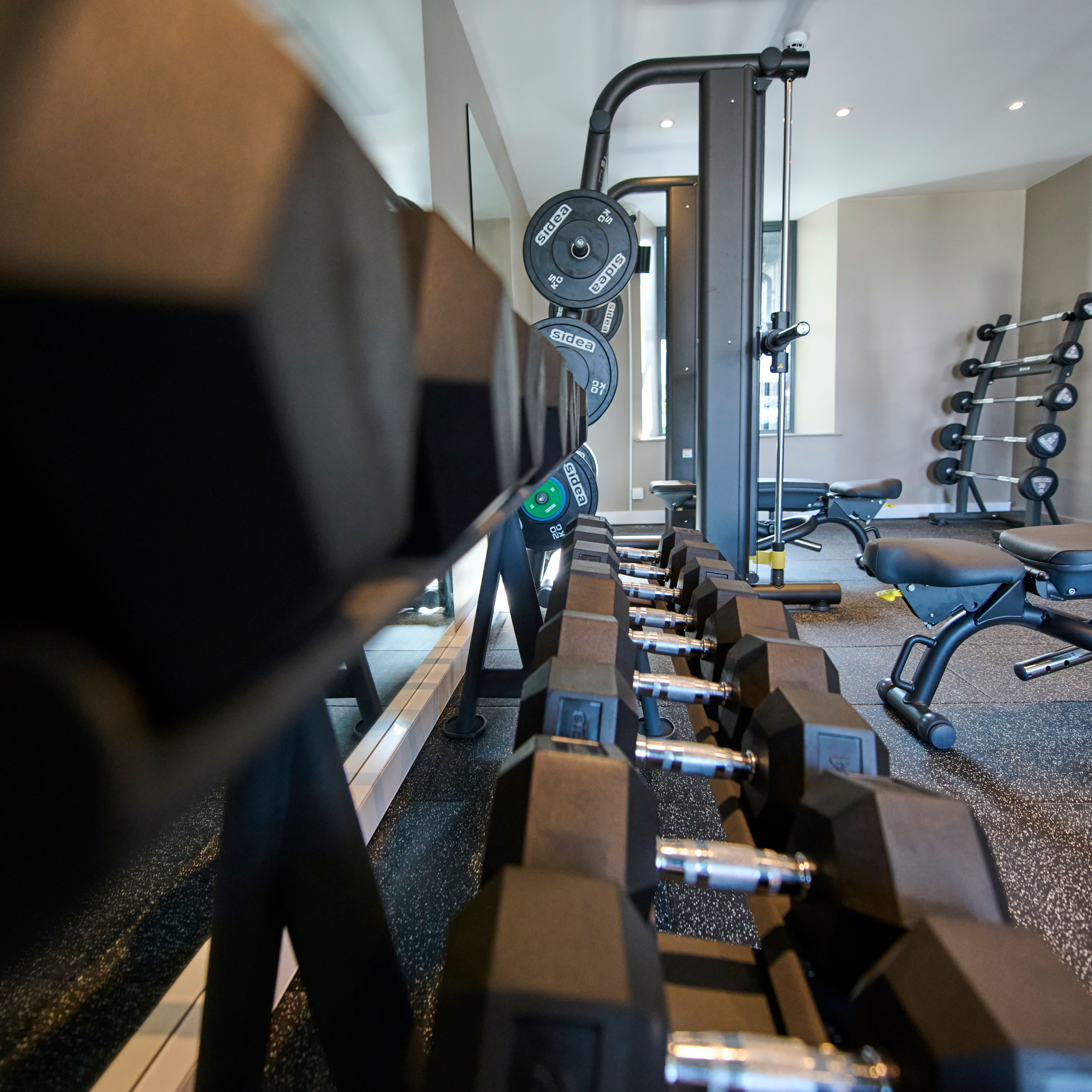 Close-up view of a row of black hex dumbbells in a modern gym, with weight plates, benches, and other fitness equipment visible in the background.