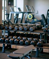 Rows of black hex dumbbells neatly arranged on racks in a gym, with cardio machines and a weight bench visible in the mirrored background.