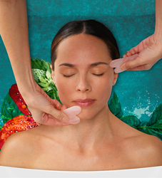 TEMPLESPA Facial